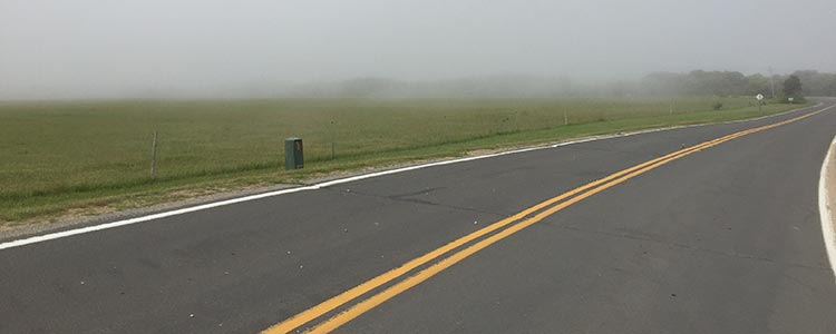 new england road field fog